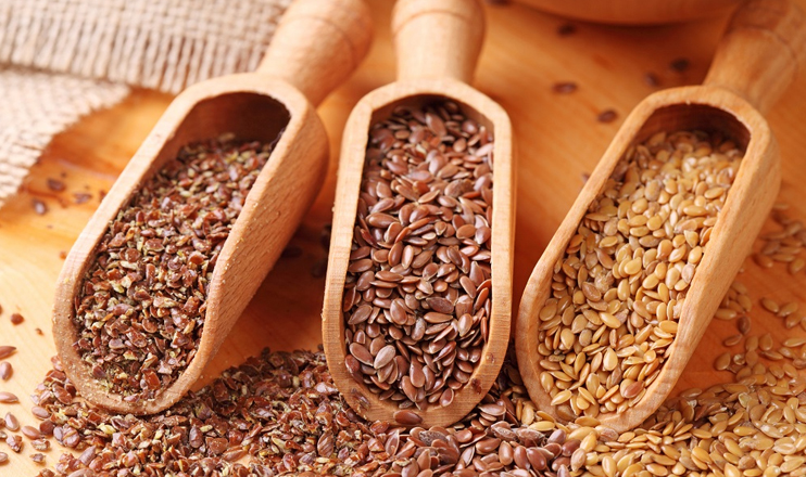 Myths and facts on flax