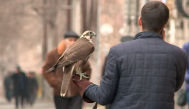 Yerevanian Streets: Hmayak Babayan
