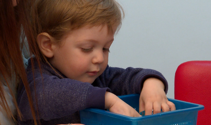 Mum's Diary: Developing Child's Brain