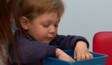 Mum's Diary: Developing Child's Brain