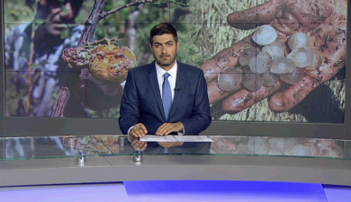 Agenda 21:00