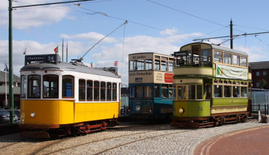 Trolley: City Transport