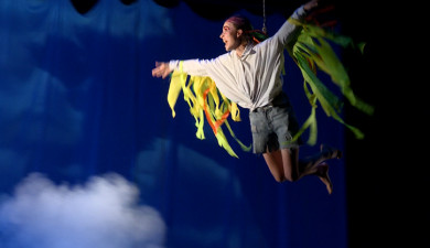 Curtains: Flight