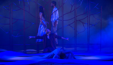 Curtains: Anush