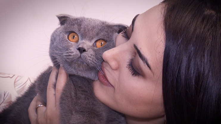 Interesting Cat Facts