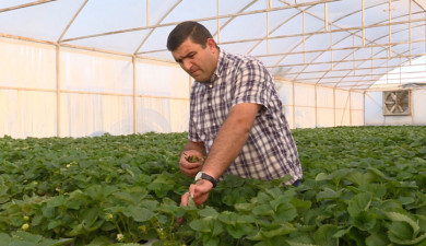 My Business: Hrach Babakhanyan