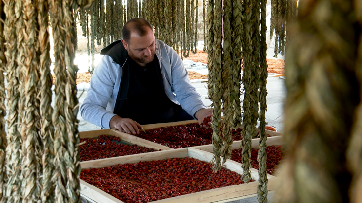 My Business: Artush Khachatryan