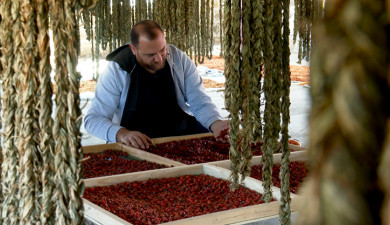 My Business: Artush Khachatryan