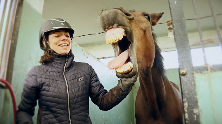 Sport Time: Equestrian Sport