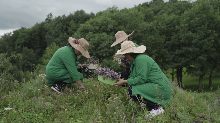 My Job: Nature Goods