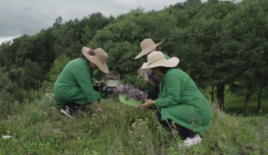 My Job: Nature Goods