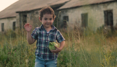 My Job: Plentiful Armenia
