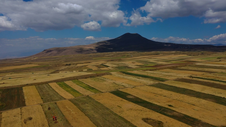 On the Roads of Armenia: Akunk