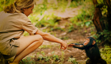 Story of a Photo: Goodall and the Chimpanzee