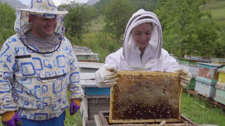 Smart Agriculture: Beekeeping