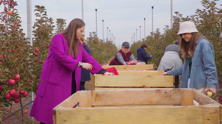 Smart Agriculture: Storage