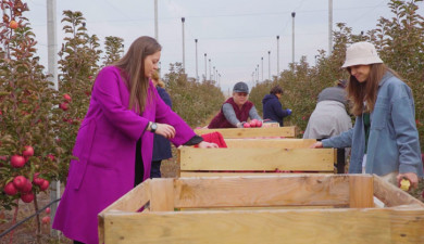 Smart Agriculture: Storage