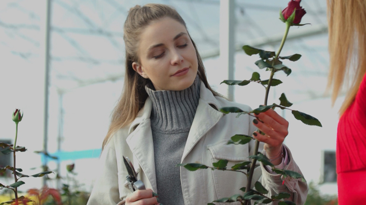 Smart Agriculture: Greenhouses