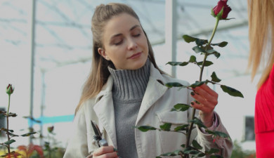 Smart Agriculture: Greenhouses