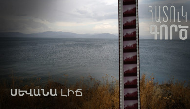Special Case: Lake Sevan
