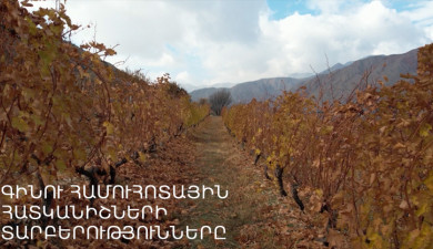 Winemaking Armenia: Differences Between Wine Taste Qualities