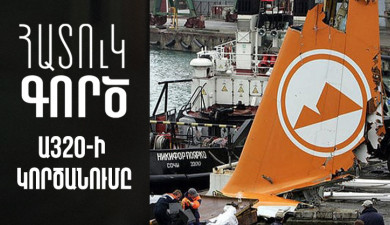 Special Case. The Crash of Armavia A320