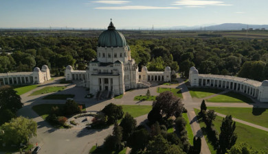 On Foreign, Desolate Roads. Vienna