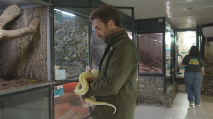 An Important Task: Zoo