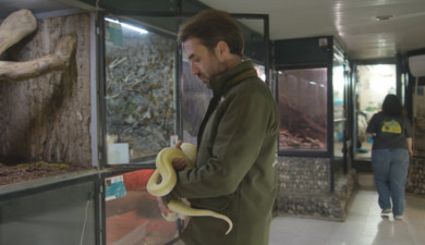 An Important Task: Zoo