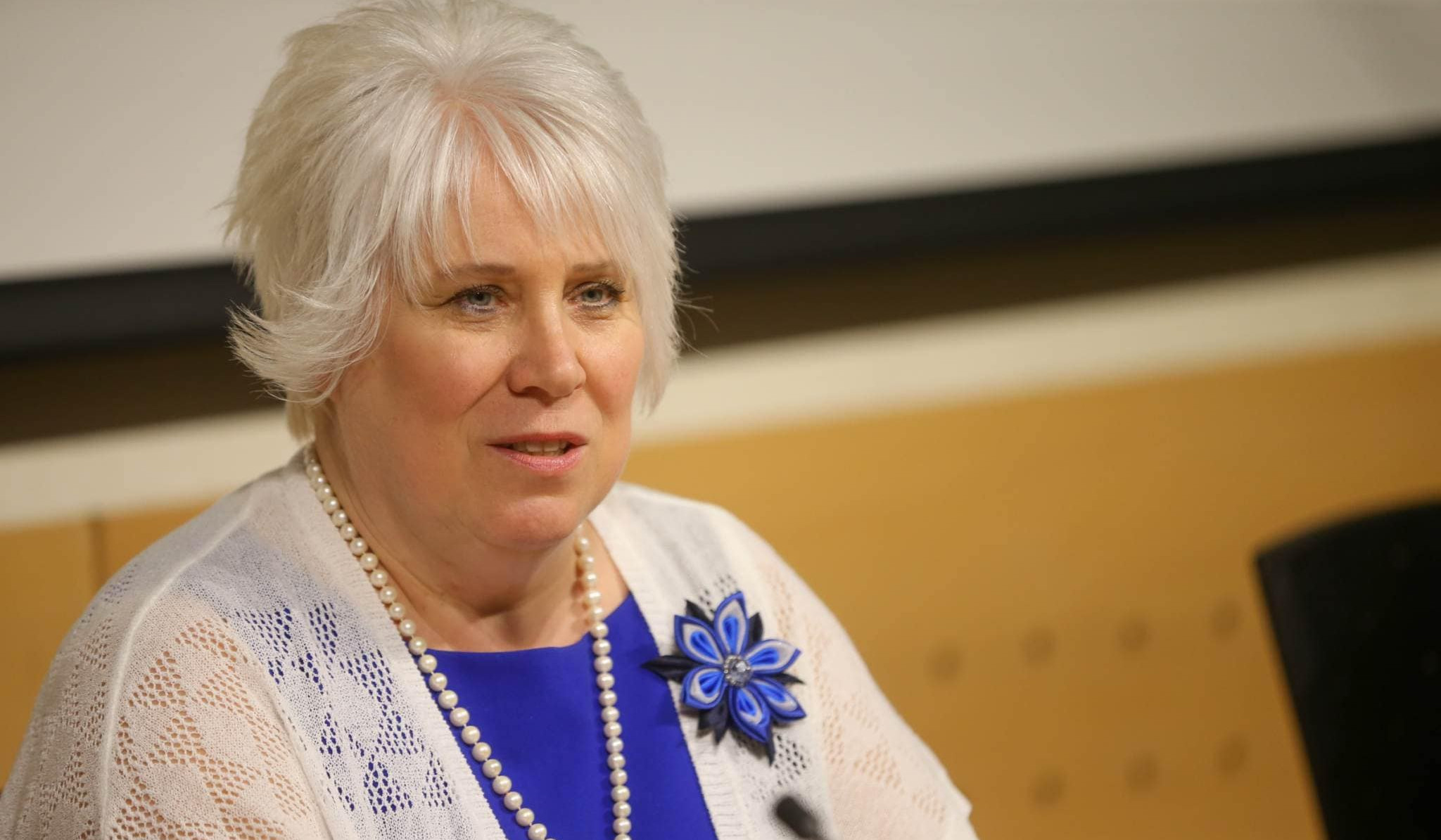 Kaljurand and 3 other officials of European Parliament call to consider issue of applying sanctions against authorities of Azerbaijan
