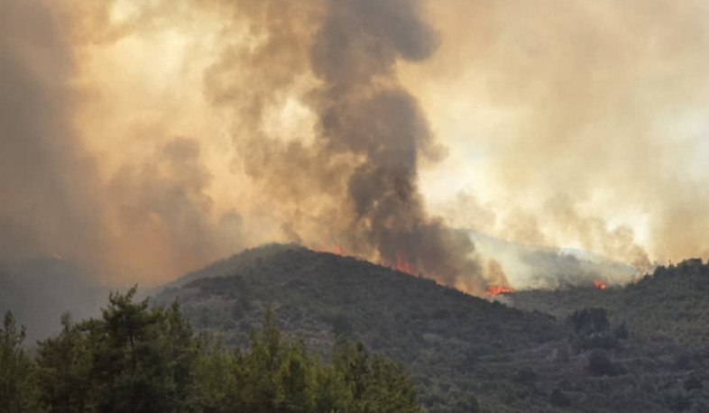 Forests turned into ashes due to fires in Kessab
