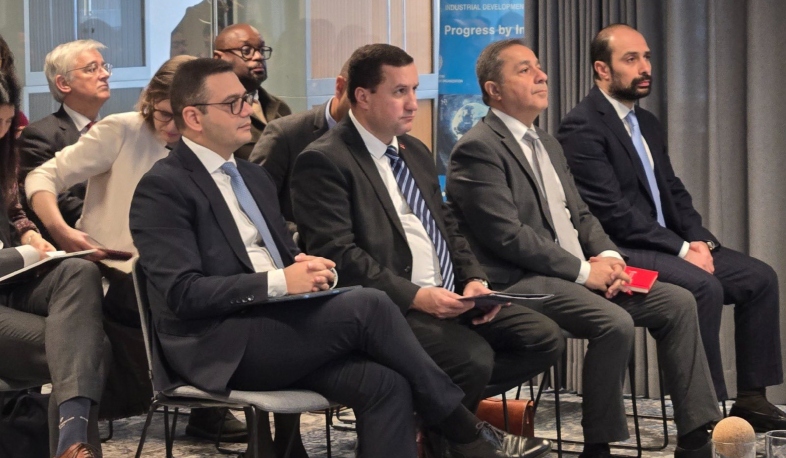 Deputy Foreign Minister of Armenia participated in event entitled 'Towards 2030: Turning nature goals into action'