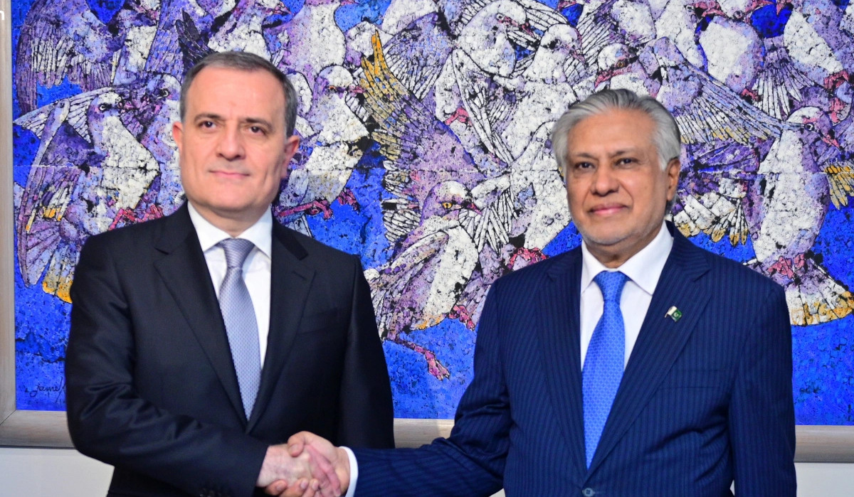 Azerbaijani and Pakistani Foreign Ministers discuss terrorist threat