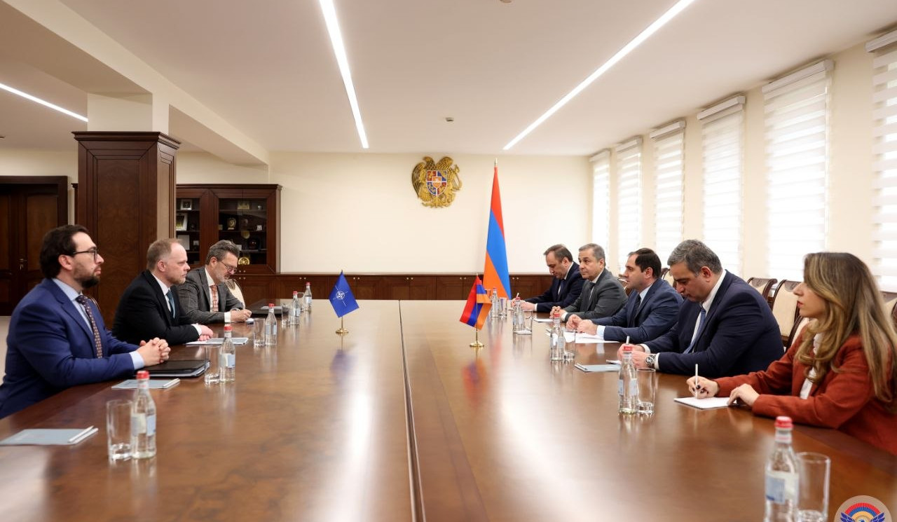 Minister Papikyan and NATO Secretary General’s Special Representative discuss cooperation issues