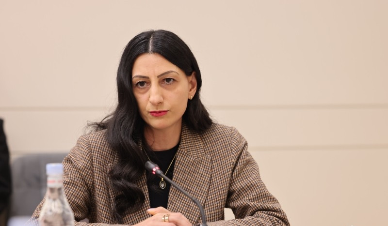 Committee debates annual report on HRD activities and on activities of HRD as a national preventive mechanism for 2025