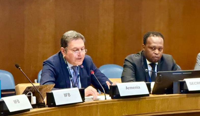 Armenia presented COP17 priorities at UN