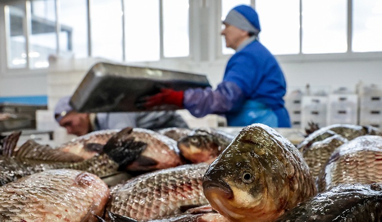 Russia has completely restricted import of fish products from Armenia