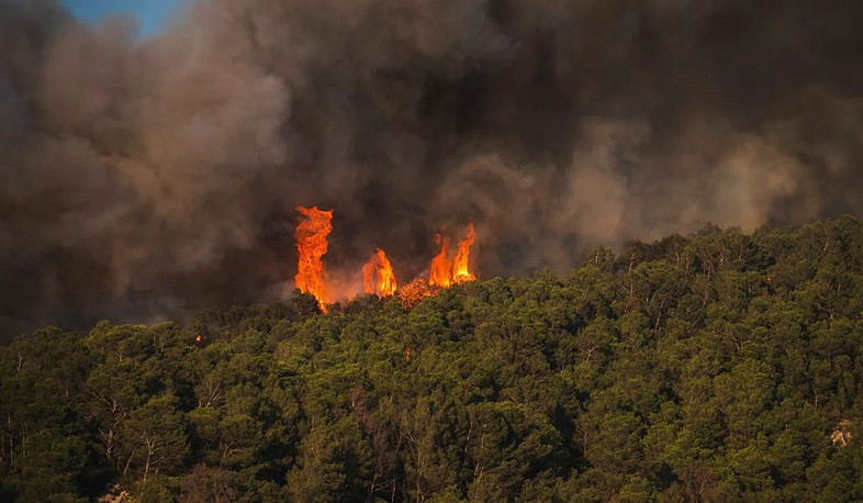 One of France's wildfires contained but elsewhere they remain 'intense', says Macron