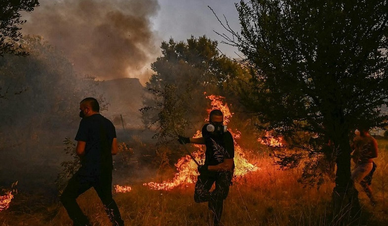 Forest fires in Greece and Spain claim three lives
