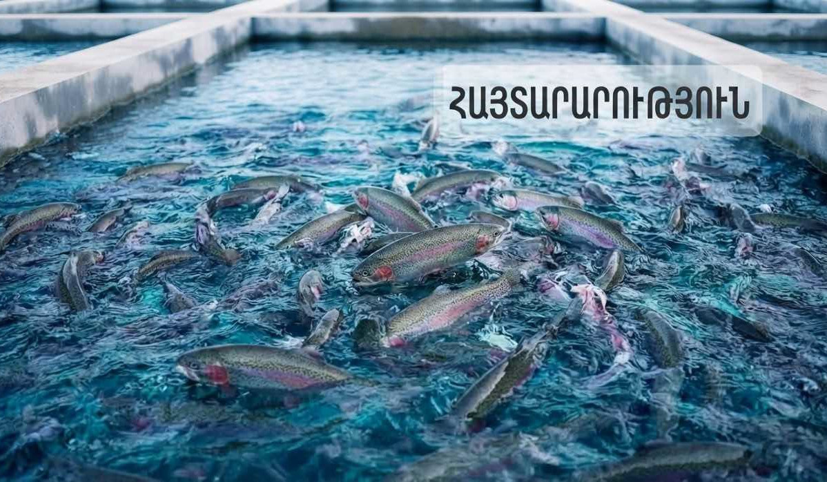 60 tons of Armenian fish and fish products exported to UAE