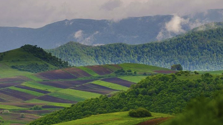 News: Special Report from Tavush