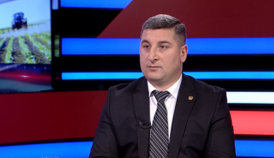 Interview with Gnel Sanosyan