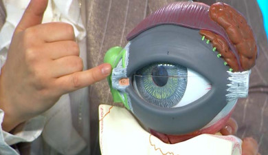 Be Well! Dry Eye